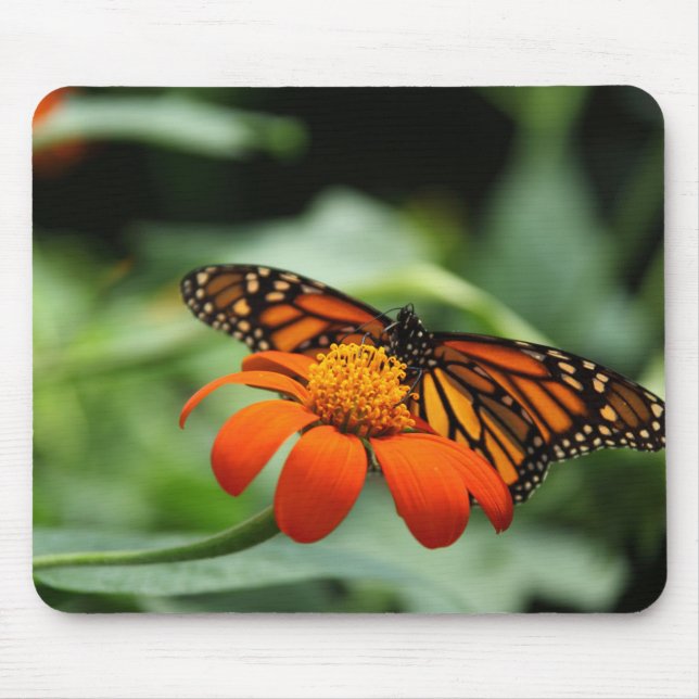 Monarch Butterfly Mousepad (Front)