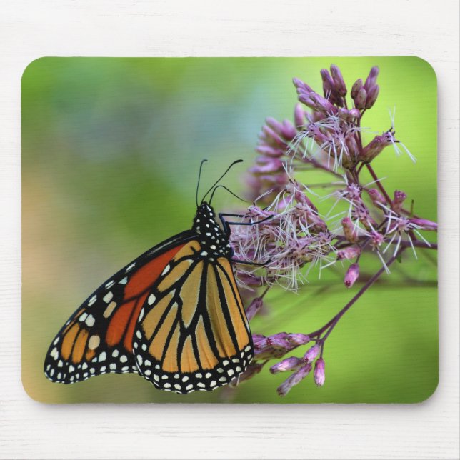 Monarch Butterfly Mousepad - Against Green (Front)