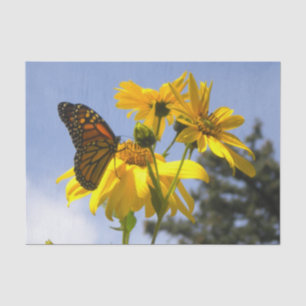 Monarch Butterfly N Sunflowers  Tissue Paper