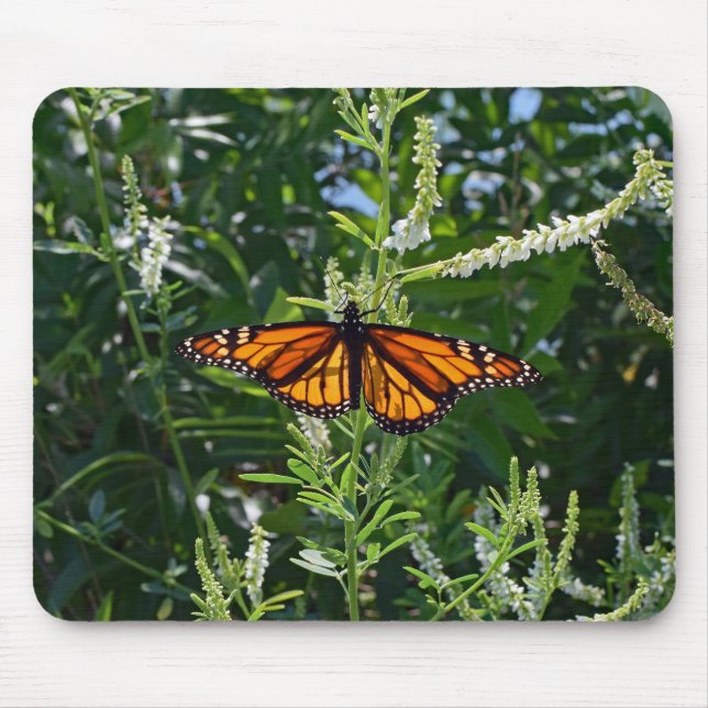 Monarch Butterfly Natural Mousepad (Front)