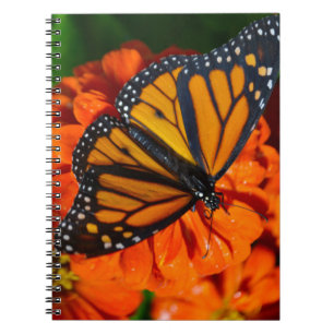 Monarch Butterfly Notebook