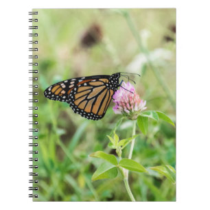 Monarch Butterfly Notebook