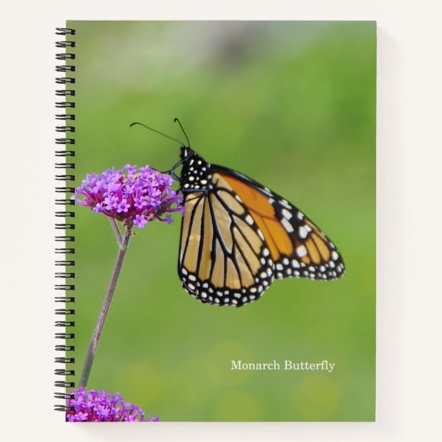 Monarch Butterfly notebook (Front)