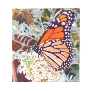 Monarch Butterfly Notepad