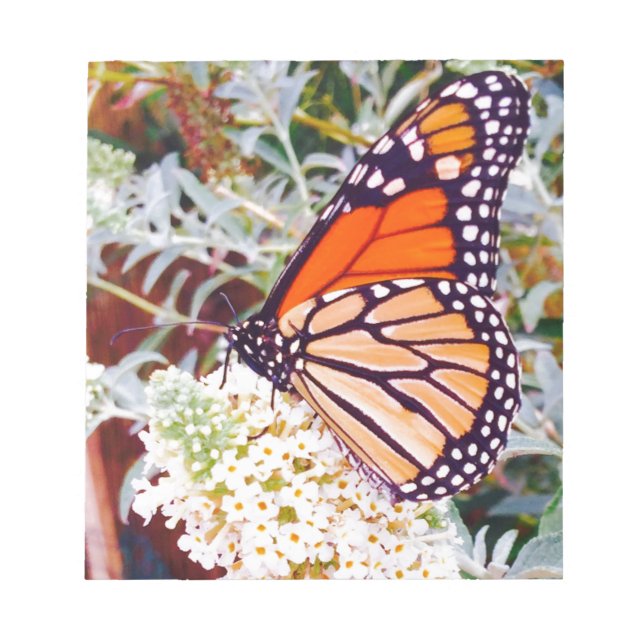 Monarch Butterfly Notepad (Front)