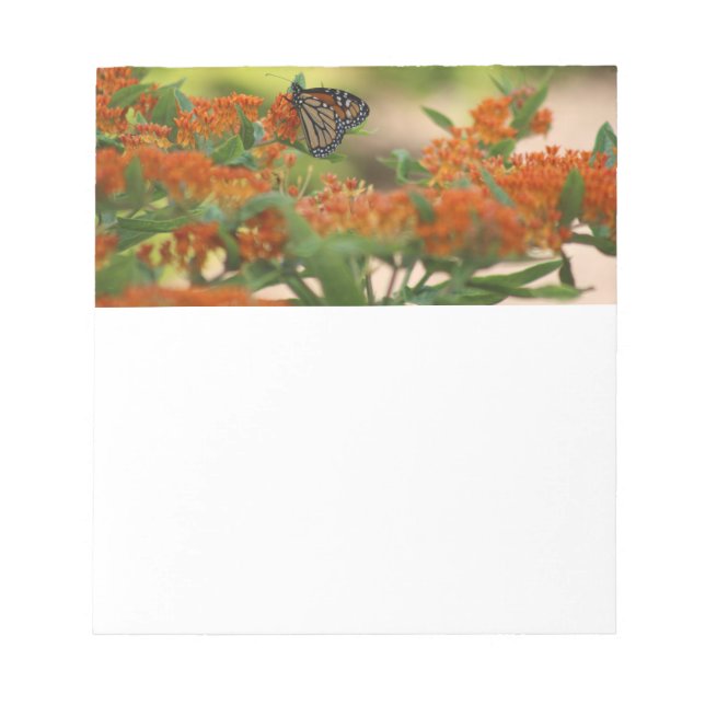 Monarch butterfly notepad (Front)