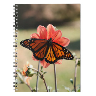 Monarch Butterfly on a Dahlia Blank Notebook