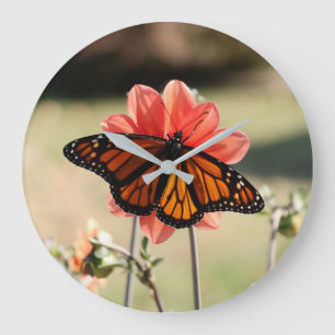 Monarch Butterfly on a Dahlia Large Clock