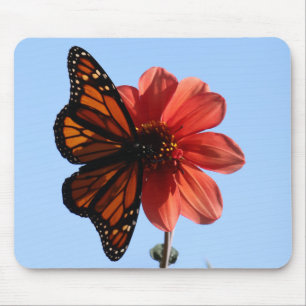 Monarch Butterfly on a Dahlia Mouse Pad