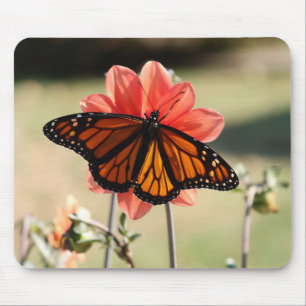 Monarch Butterfly on a Dahlia Mouse Pad