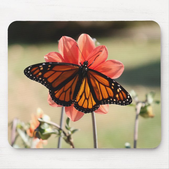 Monarch Butterfly on a Dahlia Mouse Pad (Front)