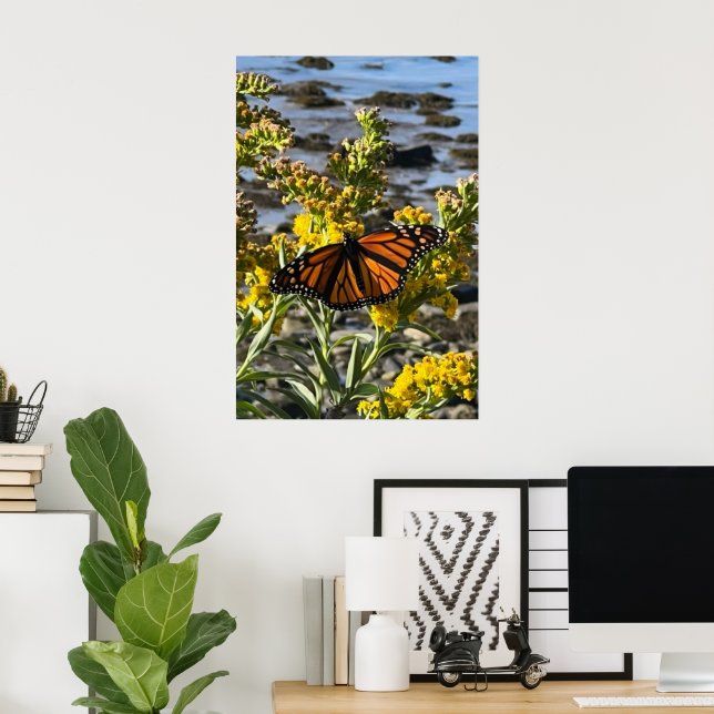 Monarch Butterfly on a Flower by the Water Nature Poster (Home Office)
