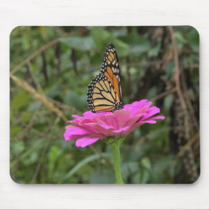 Monarch Butterfly on a Pretty Pink Zinnia Flower Mouse Pad