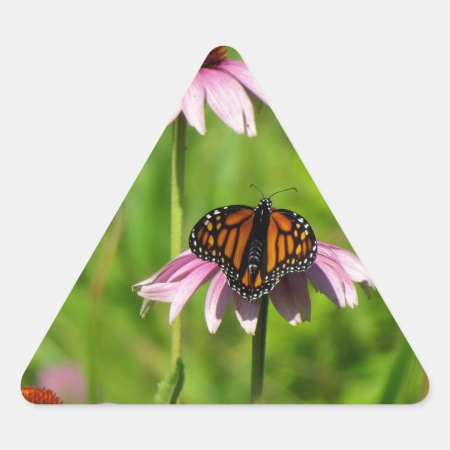 Monarch butterfly on a purple coneflower triangle sticker (Front)