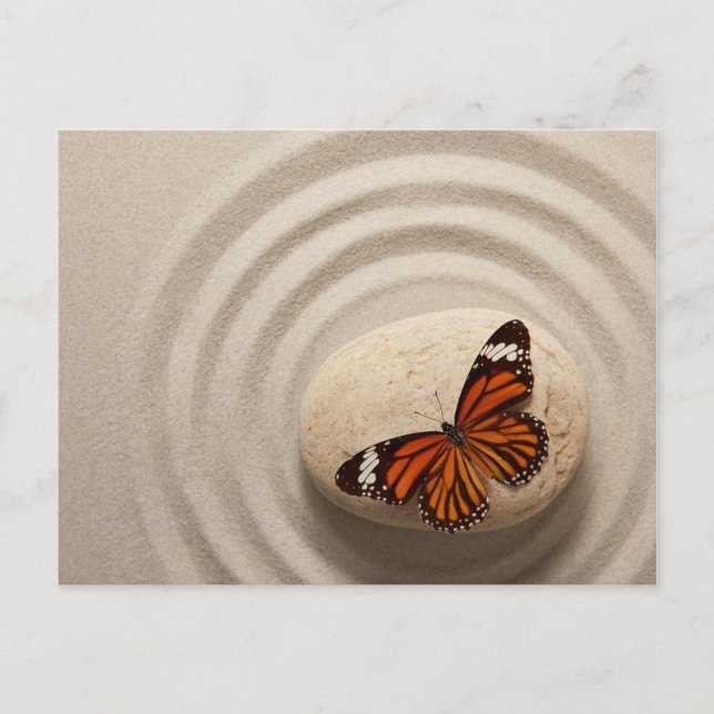 Monarch Butterfly on a Stone in a Zen Garden Postcard (Front)