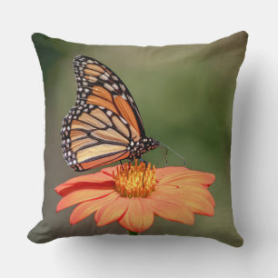 Monarch Butterfly on an orange flower Cushion