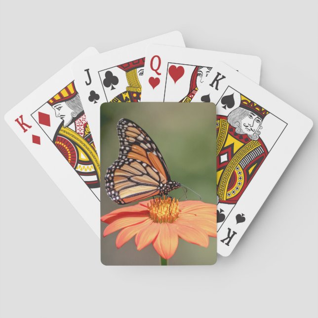 Monarch Butterfly on an orange flower Playing Cards (Back)
