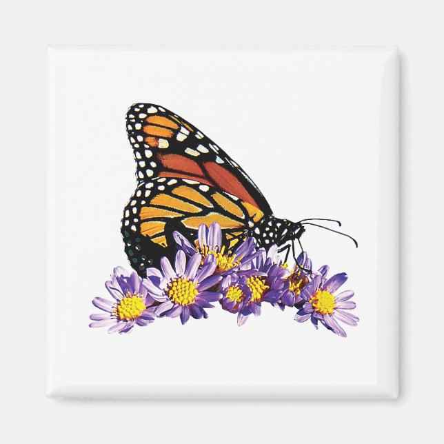 Monarch Butterfly on Aster Magnet (Front)