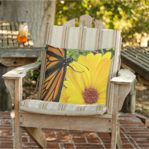 Monarch butterfly on calendula flower cushion