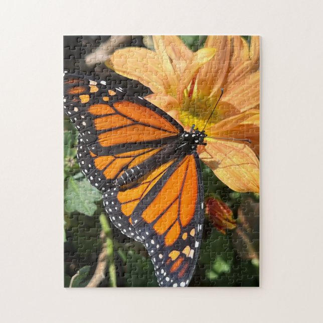 Monarch butterfly on chrysanthemum jigsaw puzzle (Vertical)