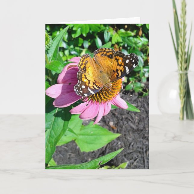 Monarch Butterfly on Echinacea Flower Card (Front)