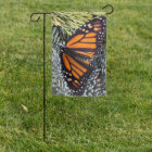 Monarch butterfly on evergreens