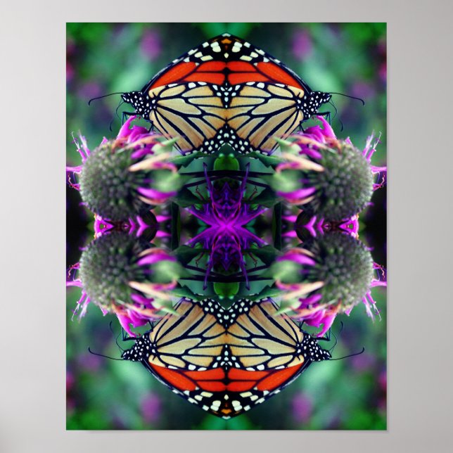 Monarch Butterfly On Flower Close Up Abstract  Poster (Front)