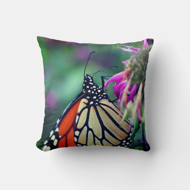 Monarch Butterfly On Flower Close Up  Cushion (Front)