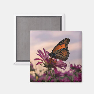 Monarch Butterfly on Flower Magnet