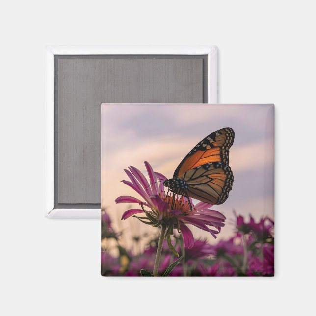 Monarch Butterfly on Flower Magnet (Front/Back)