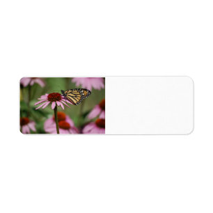 Monarch Butterfly on Flower Return Address Label