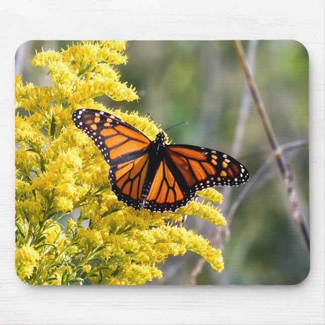 Monarch Butterfly on Goldenrod Mousepad (Front)