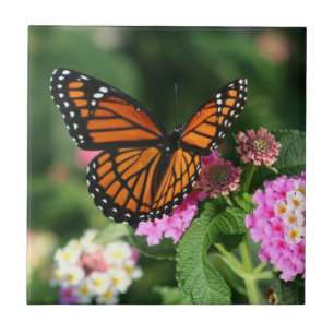 Monarch Butterfly on Lantana Flowers.Ceramic Tile