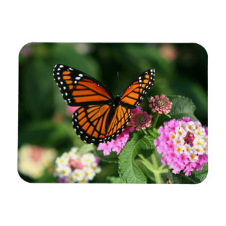 Monarch Butterfly on Lantana Flowers.Magnet Magnet