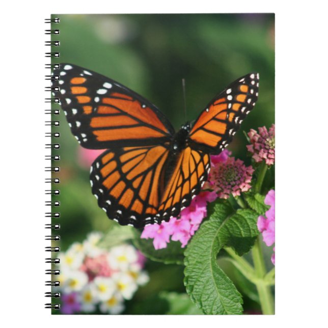 Monarch Butterfly on Lantana Flowers.Notebook Notebook (Front)