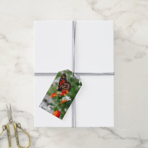 Monarch Butterfly on Orange and Red Lantana Gift Tags