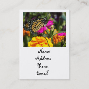 Monarch butterfly on pink marigold-business cards