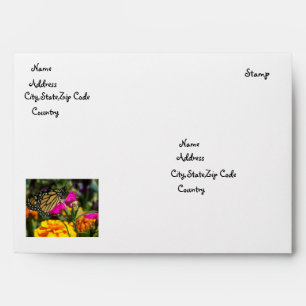 Monarch Butterfly on pink marigold-envelope Envelope