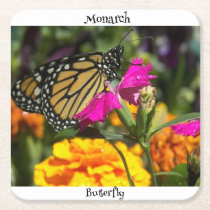 Monarch Butterfly on Pink Marigold Flower Square Paper Coaster