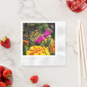 Monarch Butterfly on Pink Marigold  Napkin