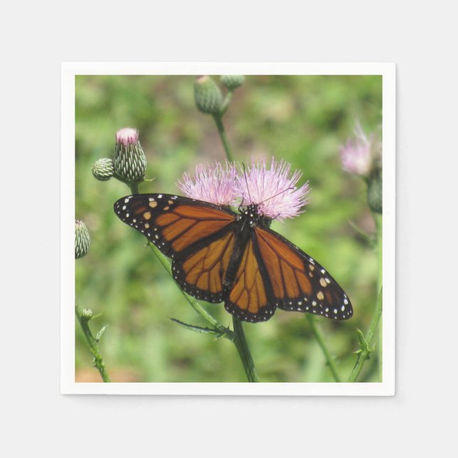 Monarch Butterfly on Pink Thistle Napkins (Front)