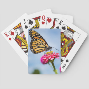 Monarch butterfly on Playing cards