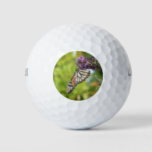 Monarch Butterfly on Purple Butterfly Bush Golf Balls