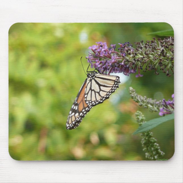 Monarch Butterfly on Purple Butterfly Bush Mouse Pad (Front)