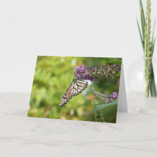 Monarch Butterfly on Purple Butterfly Bush Note Card