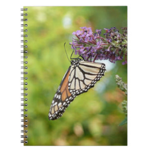 Monarch Butterfly on Purple Butterfly Bush Notebook