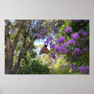 Monarch Butterfly on Purple Flowers Poster