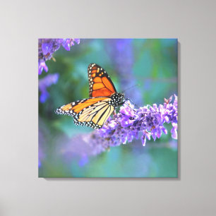 Monarch Butterfly on Purple lilac Flower Canvas Print