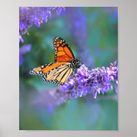 Monarch Butterfly on Purple lilac Flower