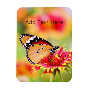 Monarch Butterfly on Red and Yellow Flower Magnet